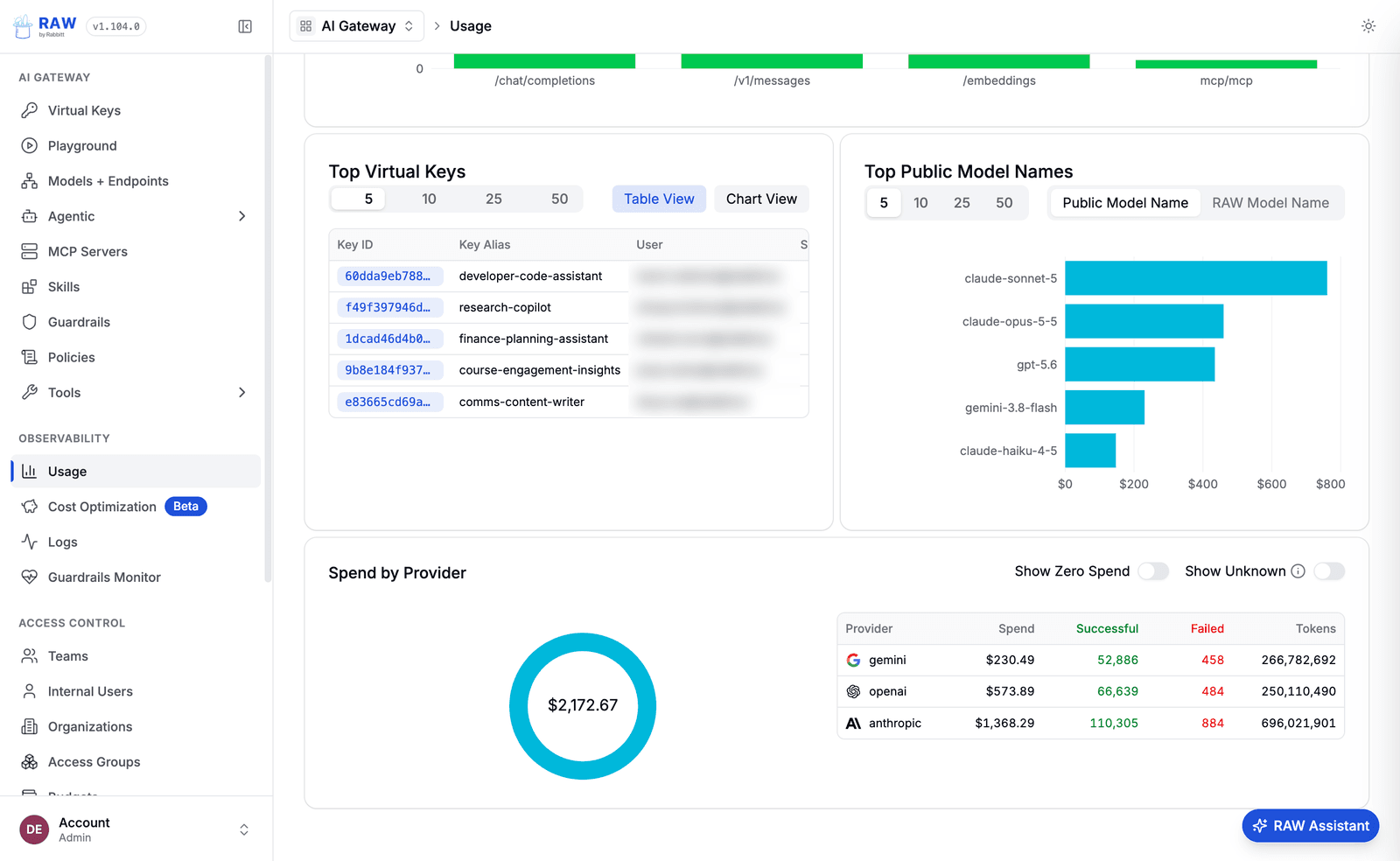 RAW usage view with top virtual keys, top model names, and spend by provider
