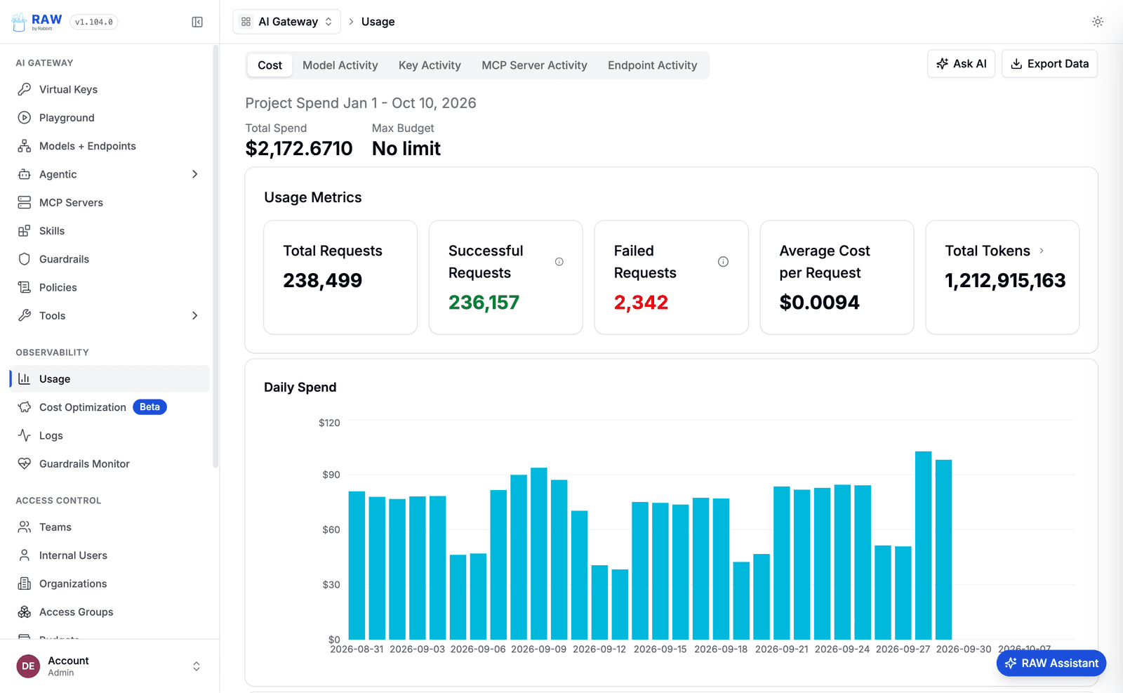 RAW usage dashboard with total spend, request metrics, and a daily spend chart